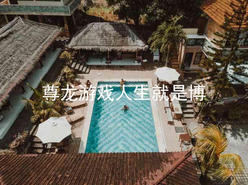 尊龙游戏人生就是博